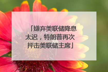 嫌弃美联储降息太迟，特朗普再次抨击美联储主席